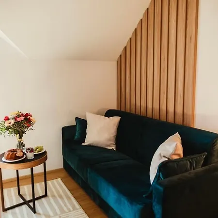 Guest house Na Bouci Chotebor